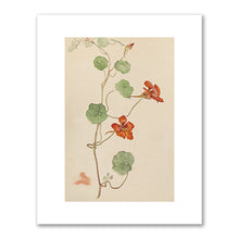 Hilma af Klint, Nasturtium (Krasse), n.d., The Hilma af Klint Foundation. Fine Art Prints in various sizes by Museums.Co