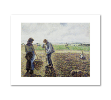 Camille Pissarro, Peasants in the Fields, Eragny, 1890, Albright-Knox Art Gallery, Buffalo, NY. Fine Art Prints in various sizes by Museums.Co
