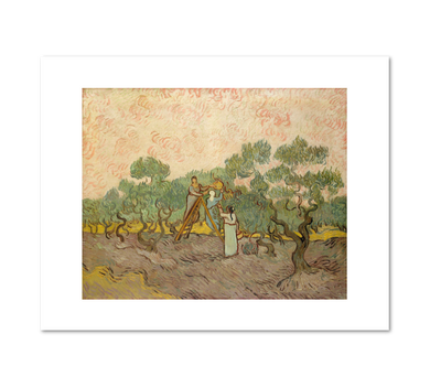 Vincent van Gogh, Women Picking Olives, 1889, Fine Art Prints in various sizes by Museums.Co