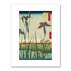 Irises at Horikiri, no. 56 from the series One-hundred Views of Famous Places in Edo by Utagawa Hiroshige