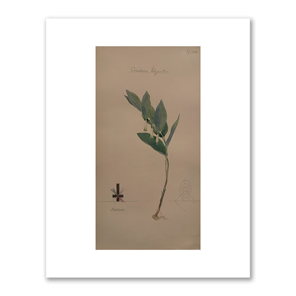 Hilma af Klint, Angular Solomon's Seal, June 5, 1920, The Museum of Modern Art (MoMA), NY. Fine Art Prints in various sizes by Museums.Co