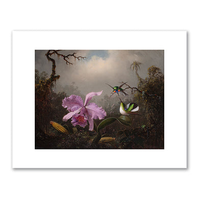 Martin Johnson Heade, Cattleya Orchid with Two Brazilian Hummingbirds, 1871, Fenimore Art Museum, Cooperstown, New York. Fine Art Prints in various sizes by Museums.Co