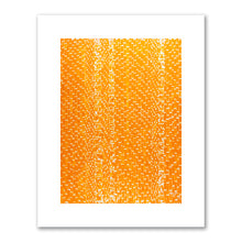 Alma Woodsey Thomas, Orangery, 1973, Newark Museum of Art. Fine Art Prints in various sizes by Museums.Co