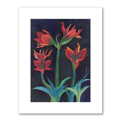 Joseph Stella, Red Amaryllis, c. 1929, Philadelphia Museum of Art. Fine Art Prints in various sizes by Museums.Co