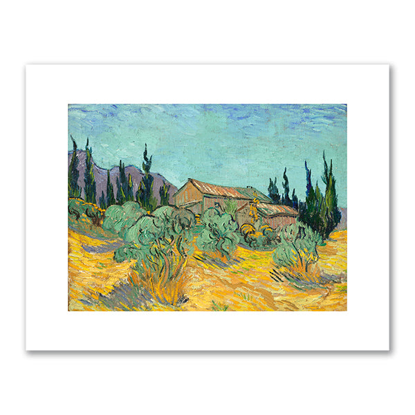 Huts surrounded by olive trees and cypresses by Vincent van Gogh
