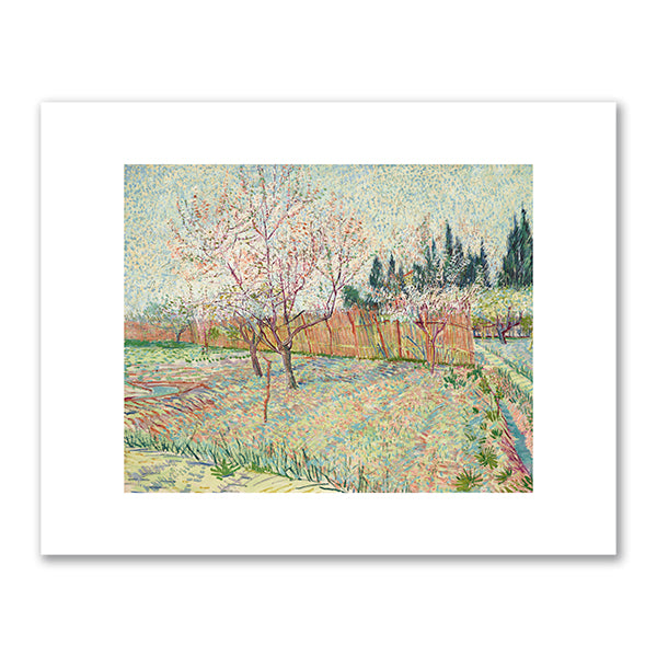 Vincent van Gogh, Orchard with Cypresses, April 1888, Private Collection. Fine Art Prints in various sizes by Museums.Co