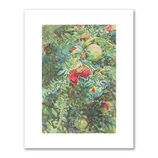 John Singer Sargent, Pomegranates, 1908, Brooklyn Museum, Photo © Brooklyn Museum of Art / Bridgeman Images. Fine Art Prints in various sizes by Museums.Co