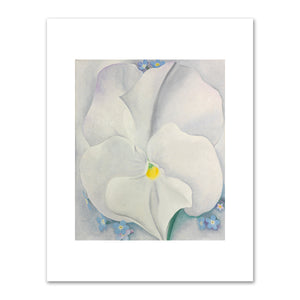 Georgia O'Keeffe, White Pansy, 1927,  The Cleveland Museum of Art. Fine Art Prints in various sizes by Museums.Co