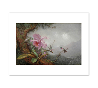 Martin Johnson Heade, Hummingbirds and Orchids, 1880s, Detroit Institute of Arts. Fine Art Prints in various sizes by Museums.Co