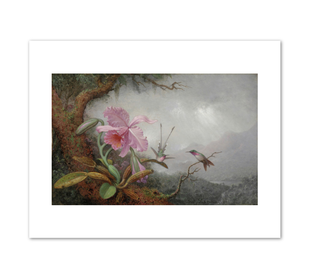 Martin Johnson Heade, Hummingbirds and Orchids, 1880s, Detroit Institute of Arts. Fine Art Prints in various sizes by Museums.Co