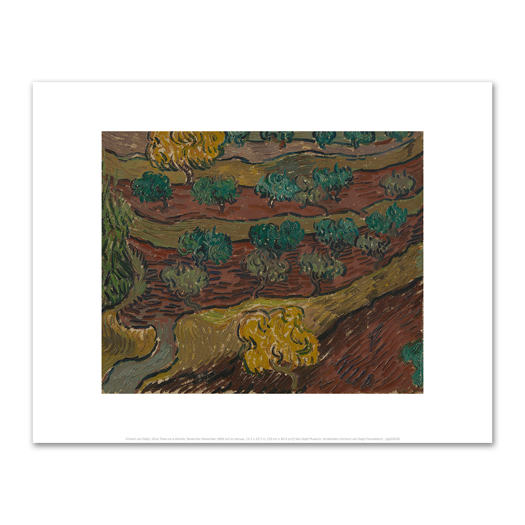 Vincent van Gogh, Olive Trees on a Hillside, November-December 1889, Van Gogh Museum, Amsterdam. Fine Art Prints in various sizes by Museums.Co
