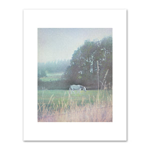 Kirsten Söderlind, White Horse, 1998, Fine Art Prints in various sizes by Museums.Co