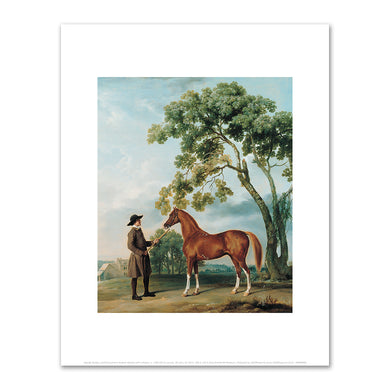 George Stubbs, Lord Grosvenor's Arabian Stallion with a Groom, c. 1765, Kimbell Art Museum. Fine Art Prints in various sizes by Museums.Co