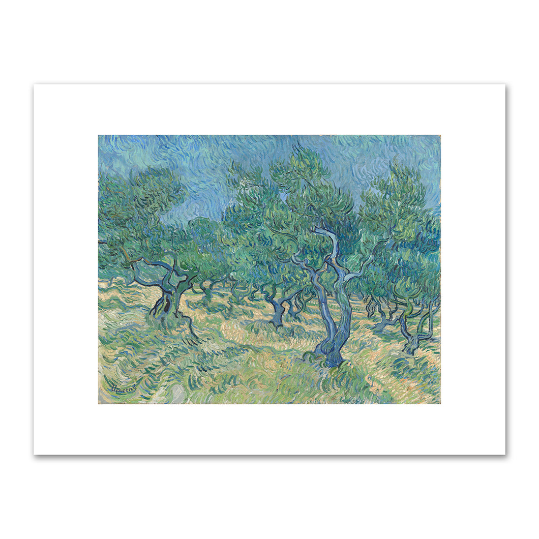 Vincent van Gogh, Olive grove, July 1889, Kröller-Müller Museum. Fine Art Prints in various sizes by Museums.Co