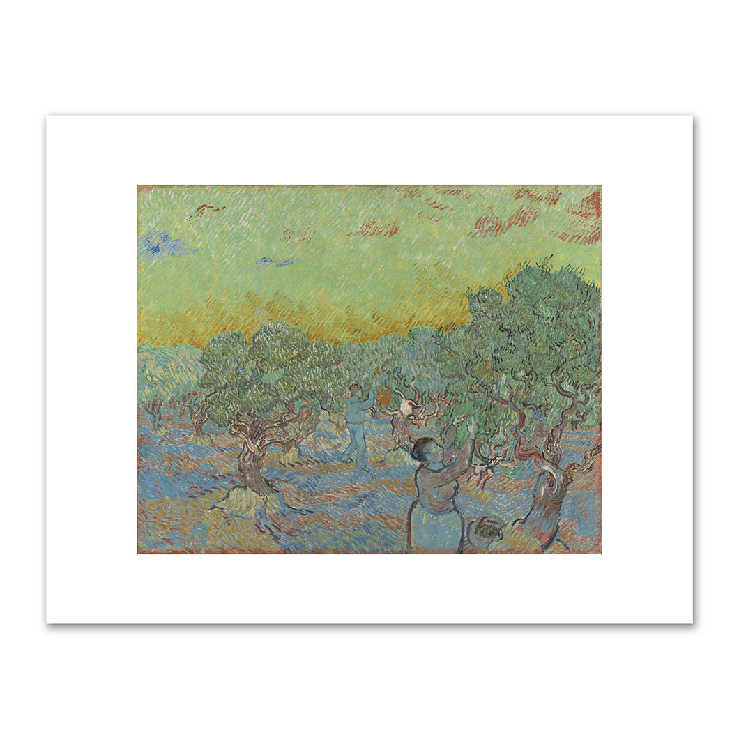 Vincent van Gogh, Olive grove with two pickers, December 1889, Kröller-Müller Museum. Fine Art Prints in various sizes by Museums.Co