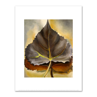 Georgia O'Keeffe, Grey and Brown Leaves, 1929, Fine Art Prints in various sizes by Museums.Co