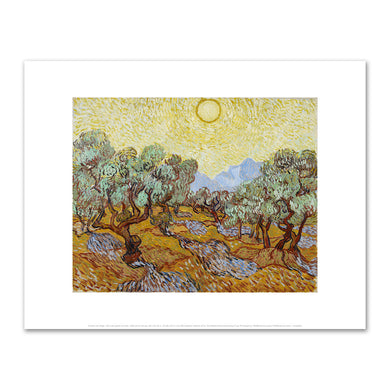 Vincent van Gogh, Olive Trees, 1889, Minneapolis Institute of Art. Fine Art Prints in various sizes by Museums.Co
