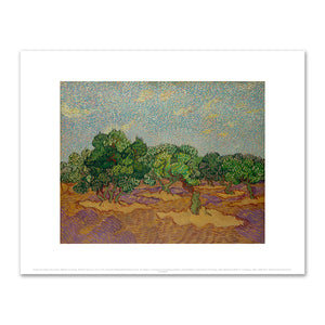 Vincent van Gogh, Olive Trees, 1889, The Metropolitan Museum of Art. Fine Art Prints in various sizes by Museums.Co