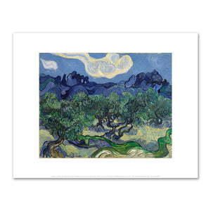 Vincent van Gogh, The Olive Trees, June-July 1889, The Museum of Modern Art. Fine Art Prints in various sizes by Museums.Co