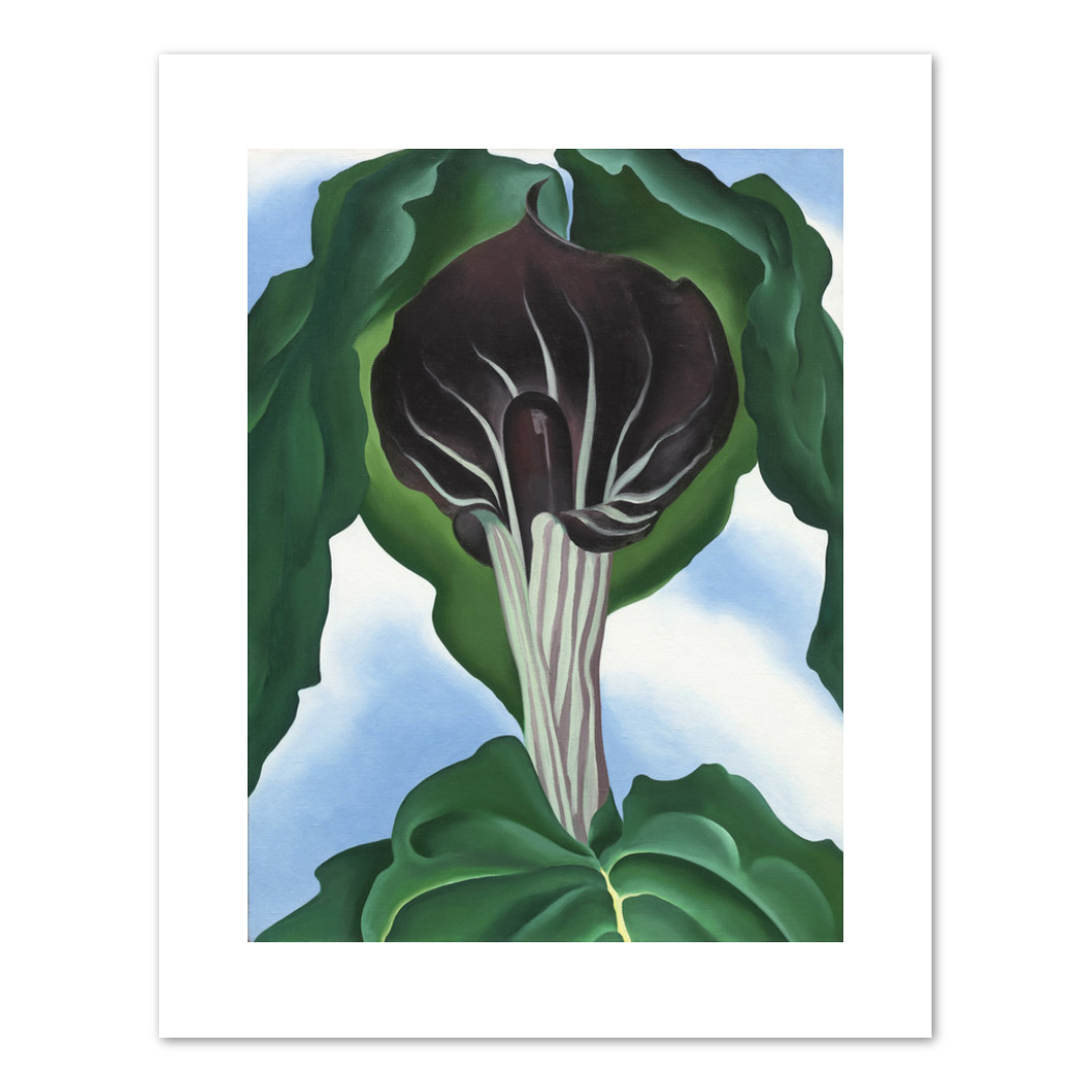 Georgia O'Keeffe, Jack-in-the-Pulpit No. 3, 1930, Fine Art Prints in various sizes by Museums.Co