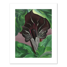 Georgia O'Keeffe, Jack-in-Pulpit - No. 2, 1930, Fine Art Print in various sizes by Museums.Co