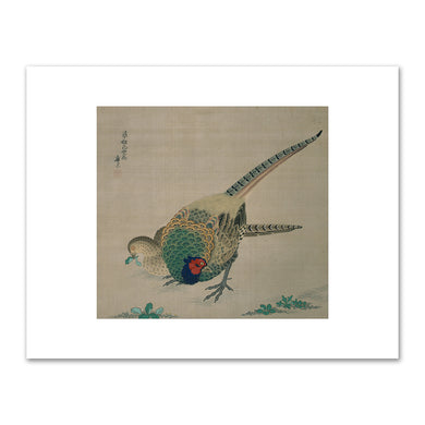 Maruyama Okyo, Pair of Pheasants Hanging Scroll, 18th century, Philbrook Museum of Art, Tulsa, Oklahoma. Fine Art Prints in various sizes by Museums.Co