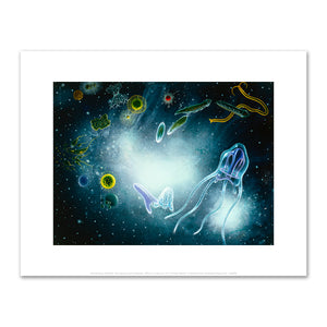 Alexis Rockman, Biosphere: Microorganisms and Invertebrates, 1993, Fine Art Prints in various sizes by Museums.Co