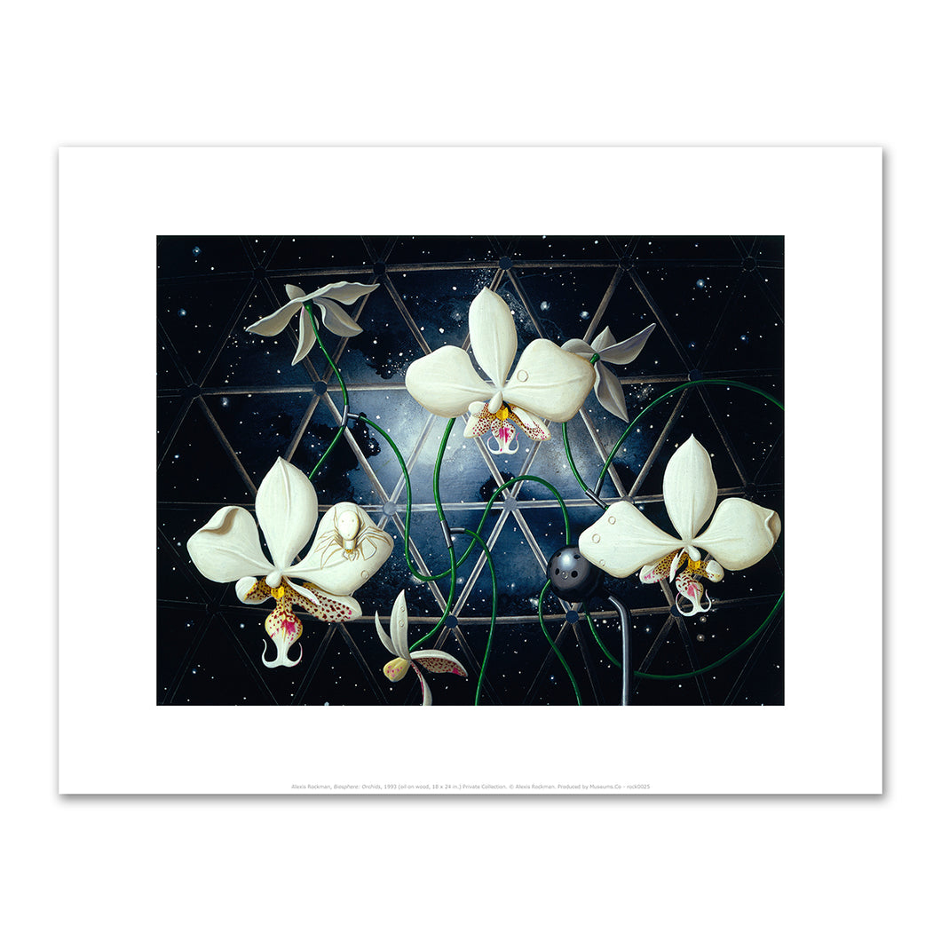 Alexis Rockman, Biosphere: Orchids, 1993, Fine Art Prints in various sizes by Museums.Co