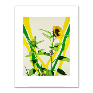 Alexis Rockman, Sunflowers, 2007, Fine Art Prints in various sizes by Museums.Co