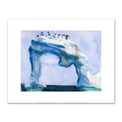 Alexis Rockman, Untitled (Antarctica 4), 2008, Fine Art Prints in various sizes by Museums.Co
