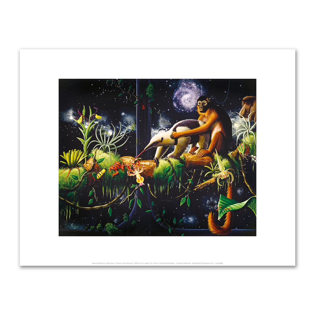 Alexis Rockman, Biosphere: Tropical Tree Branch, 1993, Fine Art Prints in various sizes by Museums.Co