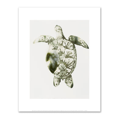 Alexis Rockman, Green Sea Turtle, 2014, Private Collection, Â© Alexis Rockman. Fine Art Prints in various sizes by Museums.Co