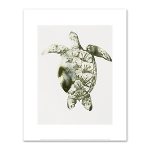 Alexis Rockman, Green Sea Turtle, 2014, Private Collection, © Alexis Rockman. Fine Art Prints in various sizes by Museums.Co