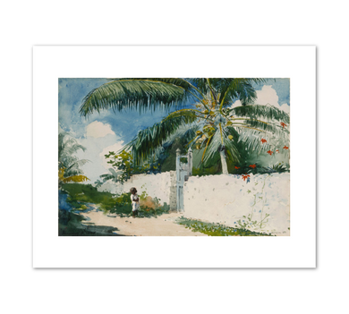 Winslow Homer, A Garden in Nassau, 1885, Fine Art Prints in various sizes by Museums.Co