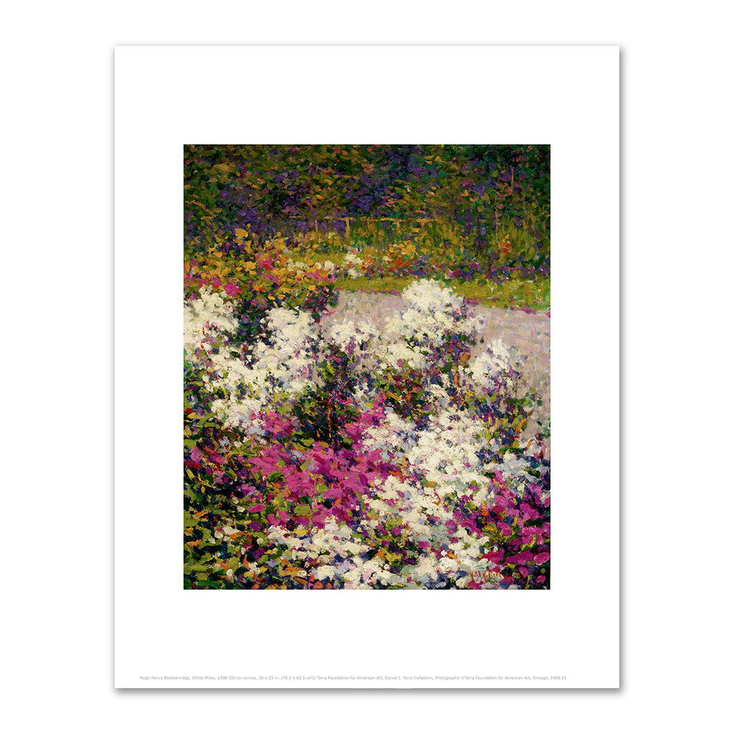 Hugh Henry Breckenridge, White Phlox, 1906, Terra Foundation for American Art. Fine Art Prints in various sizes by Museums.Co