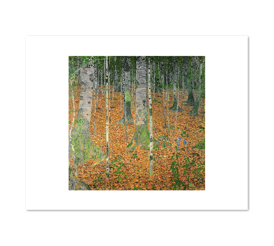 The Birch Wood by Gustav Klimt – Museums.Co
