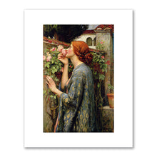 The Soul of the Rose by John William Waterhouse